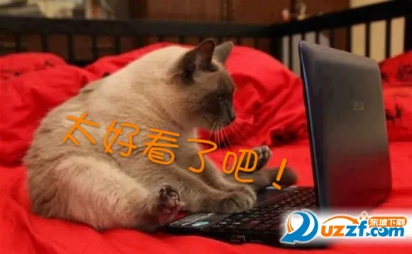 WebNovel安卓版手机版 WebNovel安卓版手机版