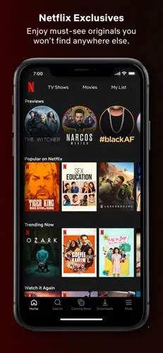 ����Netflix2026���ذ�װv9.18.0 ��׿���ͼ0
