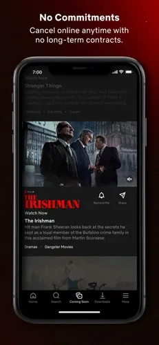 ����Netflix2026���ذ�װ