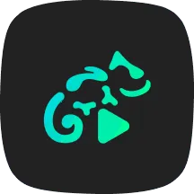 Stellio Player(���ֲ�����)