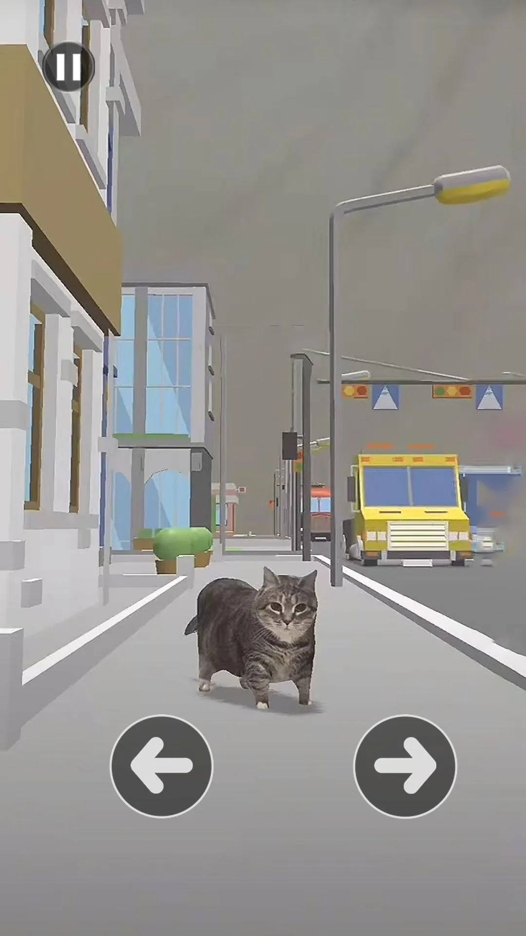 小猫过马路2026最新版本 小猫过马路2026最新版本