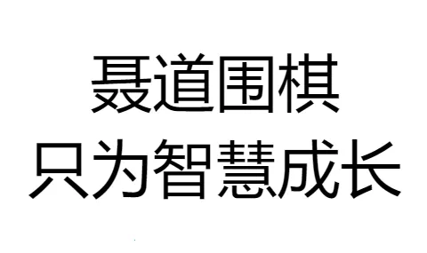 聂卫平少儿围棋安卓版手机版 聂卫平少儿围棋安卓版手机版