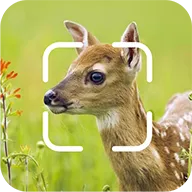 TrailCam Go2026�ٷ�����