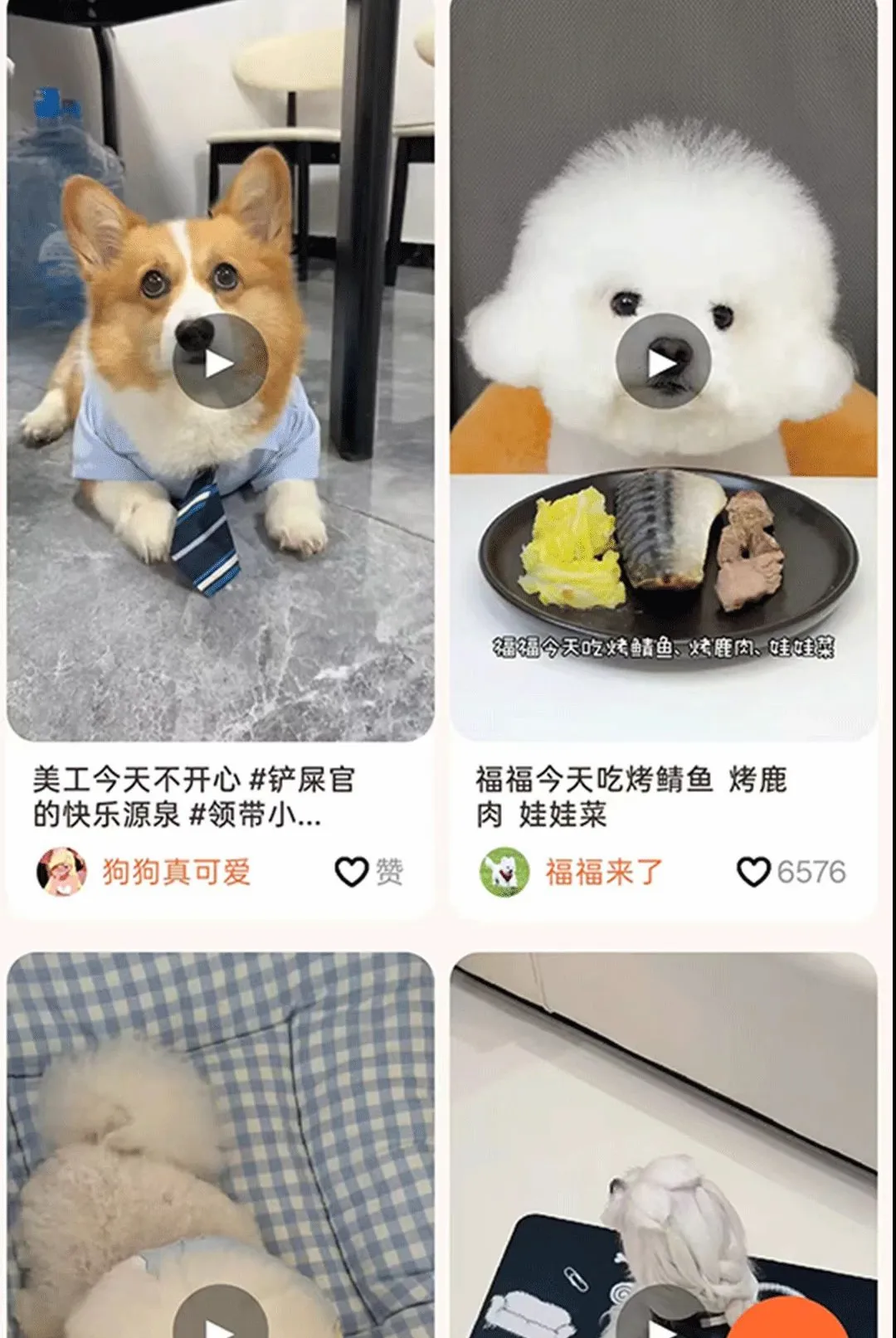 С���APP�����ֻ���v1.1.7 �ٷ������ͼ2