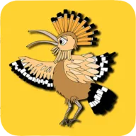 The Birds����Ϸ���ѽ�����ȸ��(������ϷӦ��)