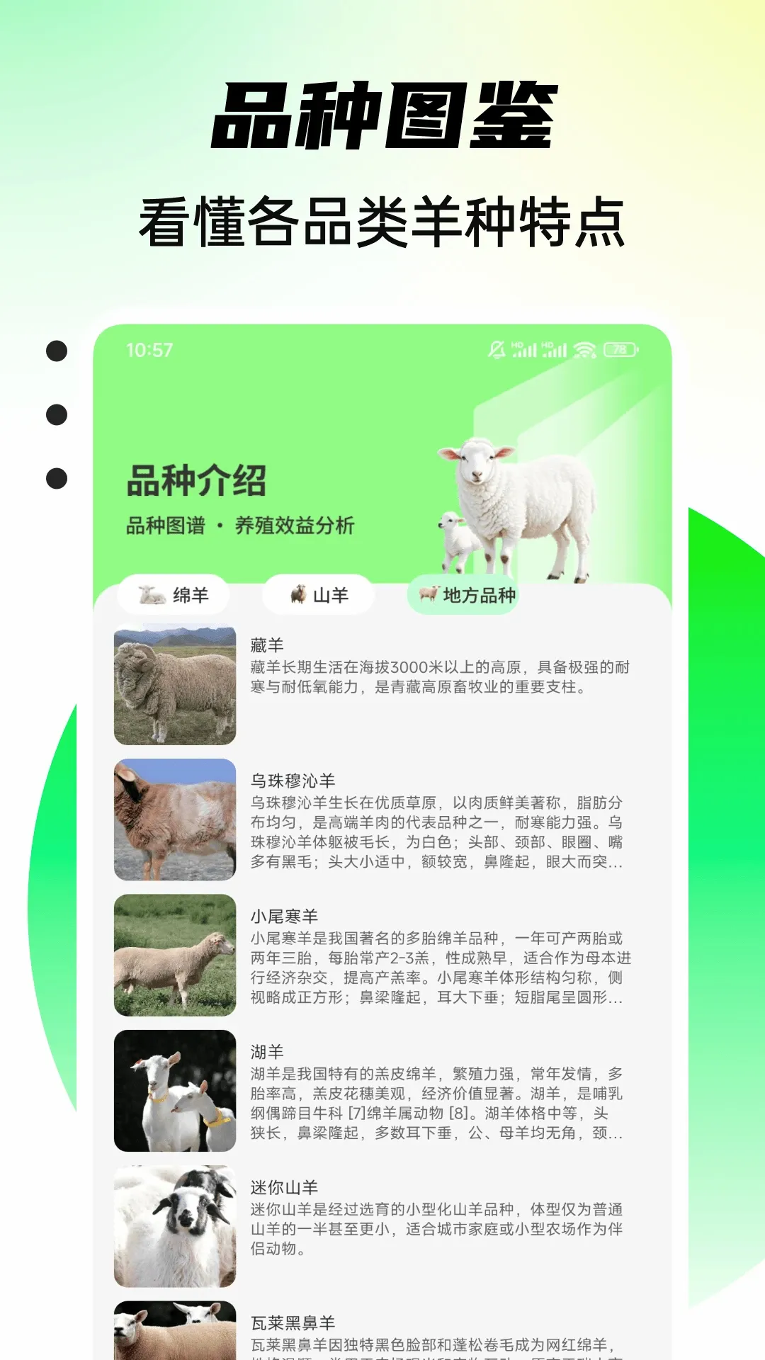 С����������2026�ٷ����°汾v1.0.4 �ٷ������ͼ1