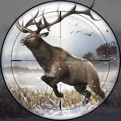 ��¹ 2�����Լ���(������Ϸ)