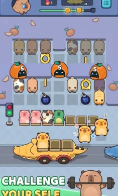 ˮ�����2026�ٷ����°汾