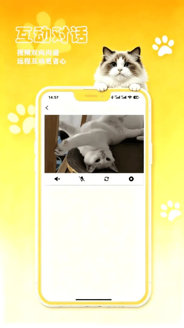 petCompanionR���ܼ�2026�ٷ�����v1.0.17 �ٷ������ͼ3
