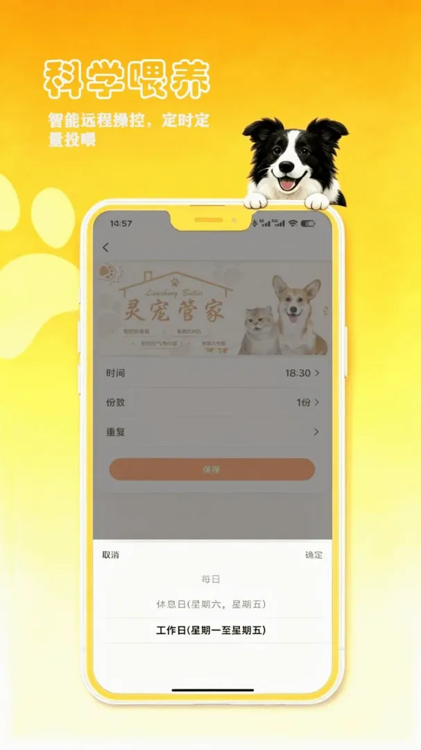 petCompanionR���ܼ�2026�ٷ�����v1.0.17 �ٷ������ͼ1