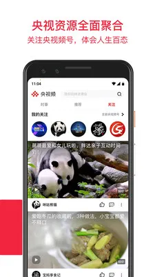 央视频2026官方最新版本 央视频2026官方最新版本