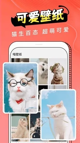 Cat Translation(è�﷭�빤��)v3.1.5 ��׿���ͼ1