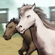 ����Ҳ������޽������