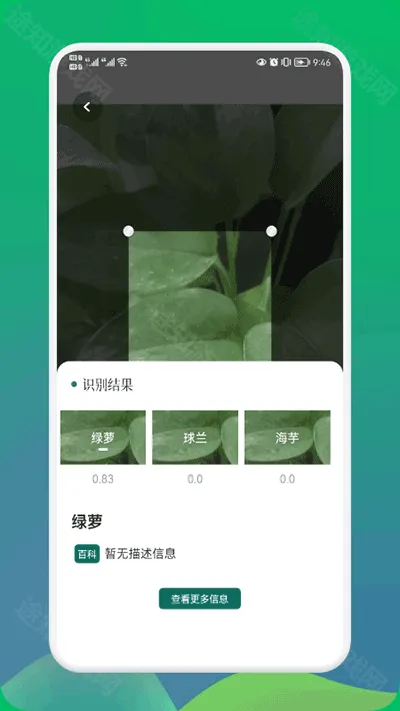 小园丁追剧 小园丁追剧
