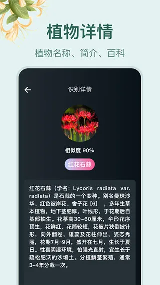 小园丁追剧 小园丁追剧