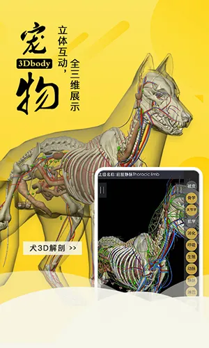 3dbody��������v8.8.91 �ֻ����ͼ3