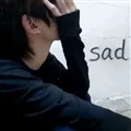 ����������������(����������)