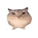 �ͰͲ�һ(�ͰͲ�һƽ̨)
