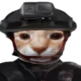 ��ŭ���ھӣ�����2������ư�(�ھ�������Ϸ)