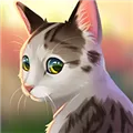 è���Ԯ����2026�ٷ�����