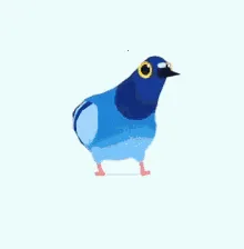 pigeon���ĸ���