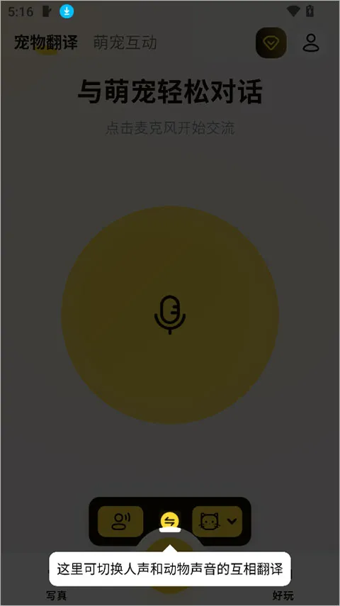 宠玩(宠物创意互动) 宠玩(宠物创意互动)