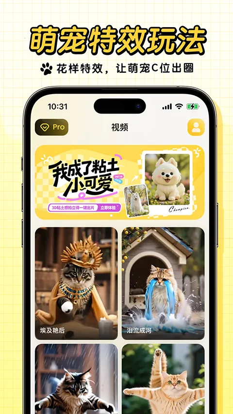 宠玩(宠物创意互动) 宠玩(宠物创意互动)