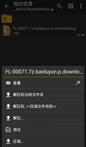 老外管理器zarchiver 老外管理器zarchiver