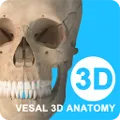 ά����3D���ʰ�׿���ֻ���