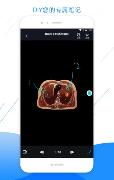 影像解剖图谱2026官方正版 影像解剖图谱2026官方正版