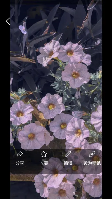 ���Ʊ�ֽ��׿���ֻ���v1.1 �ٷ������ͼ2
