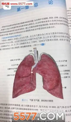 人卫图书增值2026下载安装 人卫图书增值2026下载安装