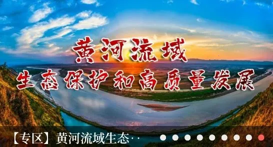 云上灵宝(灵宝综合服务软件) 云上灵宝(灵宝综合服务软件)