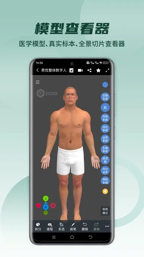 ҽά��������������ֻ���