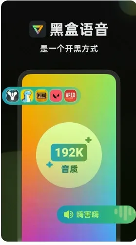黑盒语音(语音开黑软件) 黑盒语音(语音开黑软件)