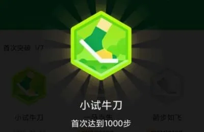 走路大王(计步运动软件) 走路大王(计步运动软件)