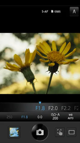 OLYMPUS Image Share安卓版手机版 OLYMPUS Image Share安卓版手机版