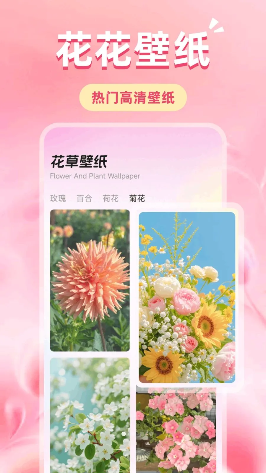 �ǹ��Ļ�2026�ٷ�����v1.1 ��׿���ͼ1