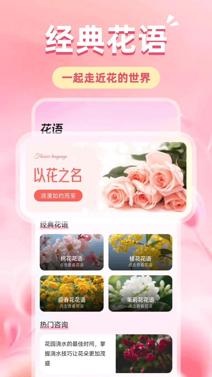 �ǹ��Ļ�2026�ٷ�����v1.1 ��׿���ͼ3