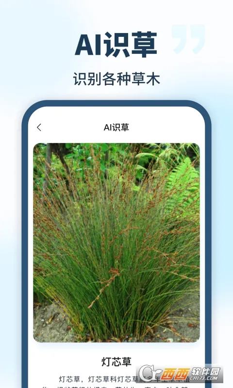 AI��������2026�ٷ�����v1.0.0 ��׿���ͼ1