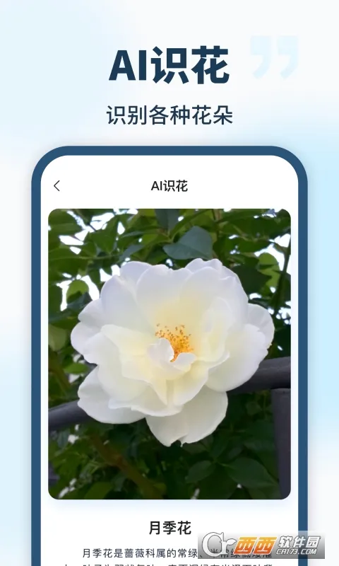 AI��������2026�ٷ�����v1.0.0 ��׿���ͼ0