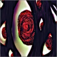脑叶公司(怪物经营游戏) 脑叶公司(怪物经营游戏)