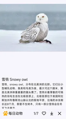 ÿ�ն��������ֻ���v1.0.0 �ٷ������ͼ0