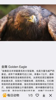 ÿ�ն��������ֻ���v1.0.0 �ٷ������ͼ3