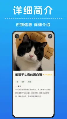AI����ʶ��(����ʶ�﹦��)v1.0.4 ��׿���ͼ3