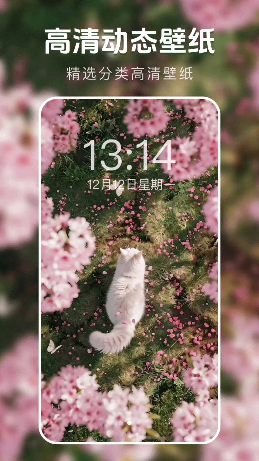 ��̬�����ֽ��(��ֽ����Ӧ��)v1.0.0 �ֻ����ͼ1