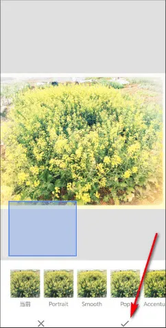 BetterSeed2026最新版本