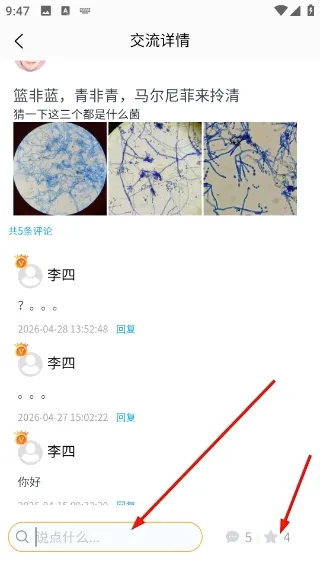 ����ʶ��2026�ٷ����°汾