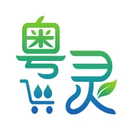����2026���°汾