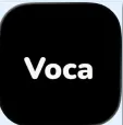 Voca AI�����ֻ���